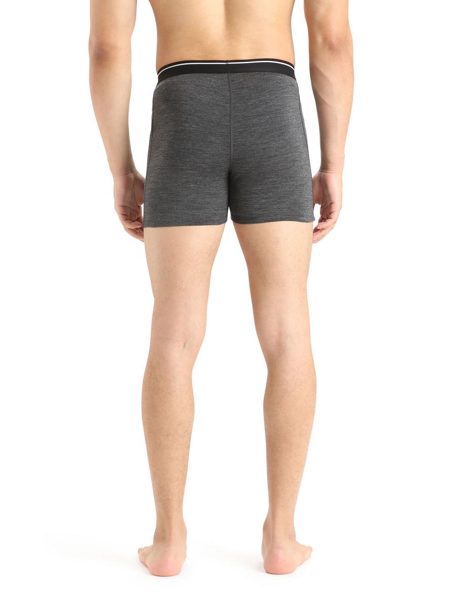 Men's Icebreaker Merino Anatomica Boxers Underwear Jet Heather | CA 1631VRWD